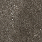 768625 Sensi Brown Fossil Nat Ret 6mm 60x120 Casa Dolce Casa