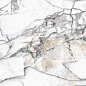 32934 Premiere White Ep 75.5x151 Peronda