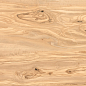 Alpine Natural Wood Matt 60x120 Casati Ceramica