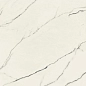 610010002716 Forte dei Marmi Lilac Rett 80x80 Atlas Concorde Russia