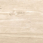 Dixie Almond 20x120 Geotiles