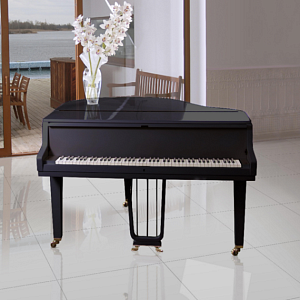 Colores Porcelanicos HDC