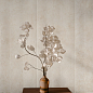 Travertino Wall Ragno Marazzi