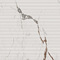 17721215 Marmora Decoro Cannete Lunense Honed 11.2mm 60x120 Casalgrande Padana