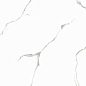 Silver White PGVT 60x120 Casati Ceramica
