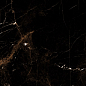 Marble Tropic Black 120x60 Artcer