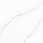 117432 White Beauty Levigato Rettificato 60x120 Naxos