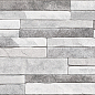TWU2550DCV17 Discover рельефная 249x500x8 Alma Ceramica (Уралкерамика)