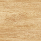 9VG0045TG Vega Бежевый Дерево 40x27 Global Tile