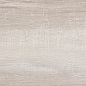 WT9VET11 Vertus Oak 249x500 AltaCera