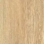 ZC 1023058 rect.. 20x100 Bonaparte