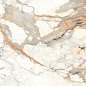 Venato Carrara High Glossy 80x160 SERON