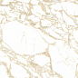 4100704 Pulp Gold Double Polished 60x120 41ZERO42