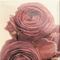 Decor Cuore 20x20 mix Mainzu