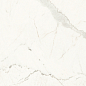 Bianco Versilia Pav. 78,5x78,5 Naxos