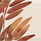 Decor Savage Flowers 01 Marron 15x45 Absolut Keramika