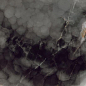 OE280L Onice Effect Deep Dark 120x280 Coem