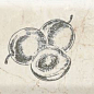 Decor Fruit Mistral Plum 10x30 Monopole Ceramica