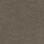 610010004125 Forte dei Marmi Rock Alpine Brown 20mm 60x120 Atlas Concorde Russia фото в миниатюре 2