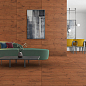LT3002 Laminate матовый 60х120 Lavit Tile