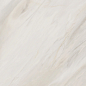 6060CAA01M Carolina Crema матовый 600x600x9.5 Delacora
