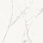60120PFC15M Porfido Carrara матовый 600x1200x9.5 Delacora
