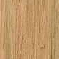 Greenwood Great Matt 60x120 Bonaparte