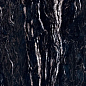 PF60005655 SENSI GEMS TITANIUM BLACK RET 60x120 ABK