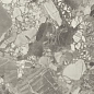 610010002714 Forte dei Marmi Ceppo Apuano Pearl Rett 80x160 Atlas Concorde Russia