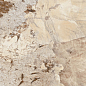 MOG304 Marble Light Beige полированный 60x120x9 Onlygres