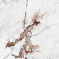 764084 Policroma Breccia Glossy 6mm 60x120 Cedit