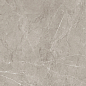 017.869.0002.14631 Sense Gris Satin Rec 60x120 Pamesa фото в миниатюре