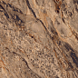 GOLDEN RIVER HIGH GLOSSY 60x120 Maimoon Ceramica