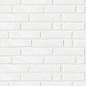 White Line 8.6*26.2 Serenissima Cir