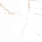 Статуарио Голд Сатин 60x60 Eurotile Ceramica фото в миниатюре 5