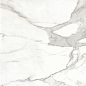 Invictus Natural 80x80 Baldocer