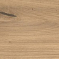 AX5U Log Icon Oak Forest Matte 20x180 Atlas Concorde