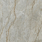 MN327AY301206 Wild Forest Matt 6mm 120x300 Moreroom Stone