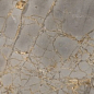 Reflection Gold 60x120 Realistik
