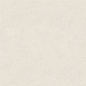 100348029 Terra Bone 120x120 Porcelanosa