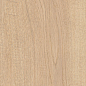 AHG9 Rever Anise Matt RT 20х120 Caesar