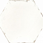 Studio Ivory 20x24 Monopole Ceramica