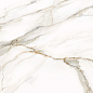 D12054M Omega Gold 1200x600x9.5 Delacora