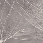 Incanto Grigio 120x120 Керлайф