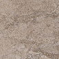 Dynasty Walnut 20*20 Cerdomus