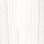 PL612517 Zebrino Bianco Luc 120x60 Ariostea