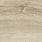 181641 Silvis Acero ret R10 30x120 Sichenia