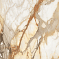AB 1074M Borgini Gold matt 600x600 Absolut Gres