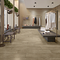 Graphite Beige Kerald