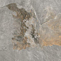 Ardesia Grey 60х90 Rino